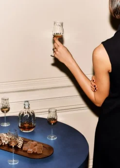 Coffret 2 verres en cristal pour une dégustation spiritueux : dégustez avec élégance