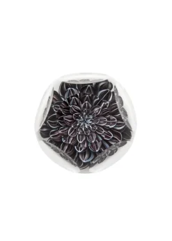 DAHLIA NOIR  2015