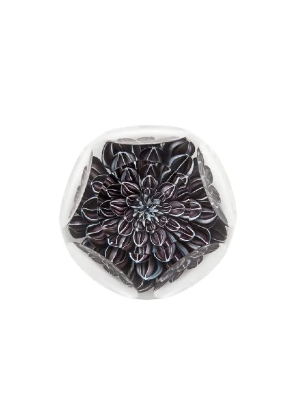 DAHLIA NOIR 2015