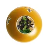 ORCHIDEE NOIRE 2020