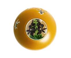 ORCHIDEE NOIRE 2020