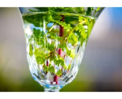 STELLA VERRE À EAU N°2