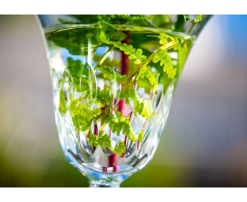 STELLA VERRE À EAU N°2